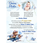 Invitatie digitala botez cu poza - baieti - Ursulet in avion - IBF-29